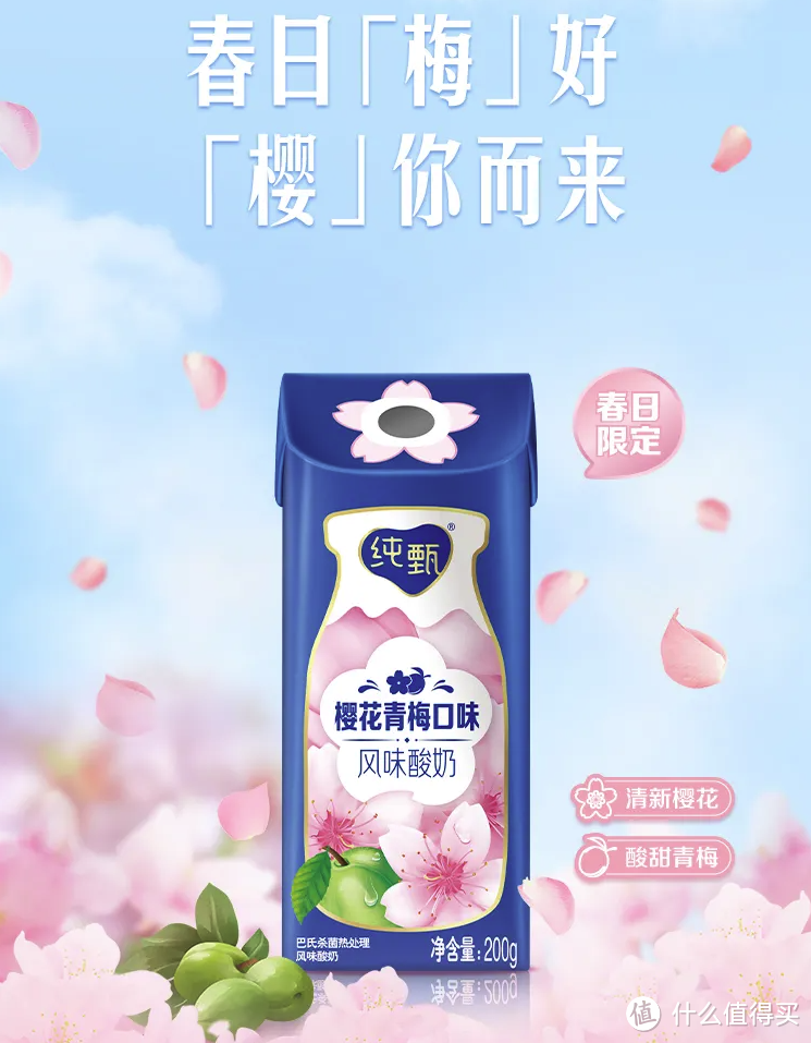 春日限定：纯甄 上新 樱花青梅口味 风味酸奶
