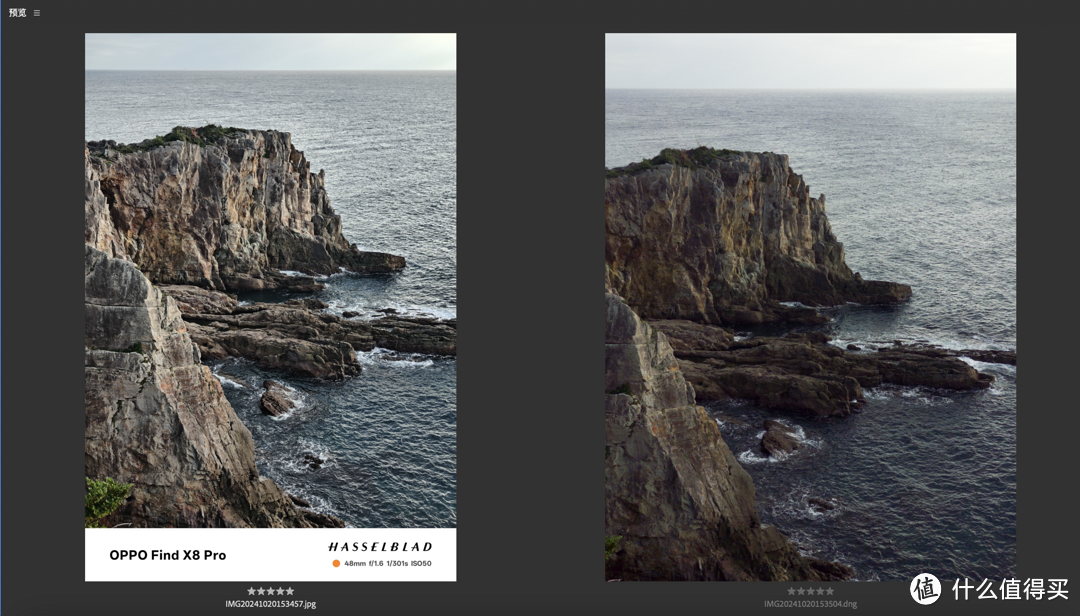 左：OPPO Find X8 Pro 直出样张；右：RAW照片原图
