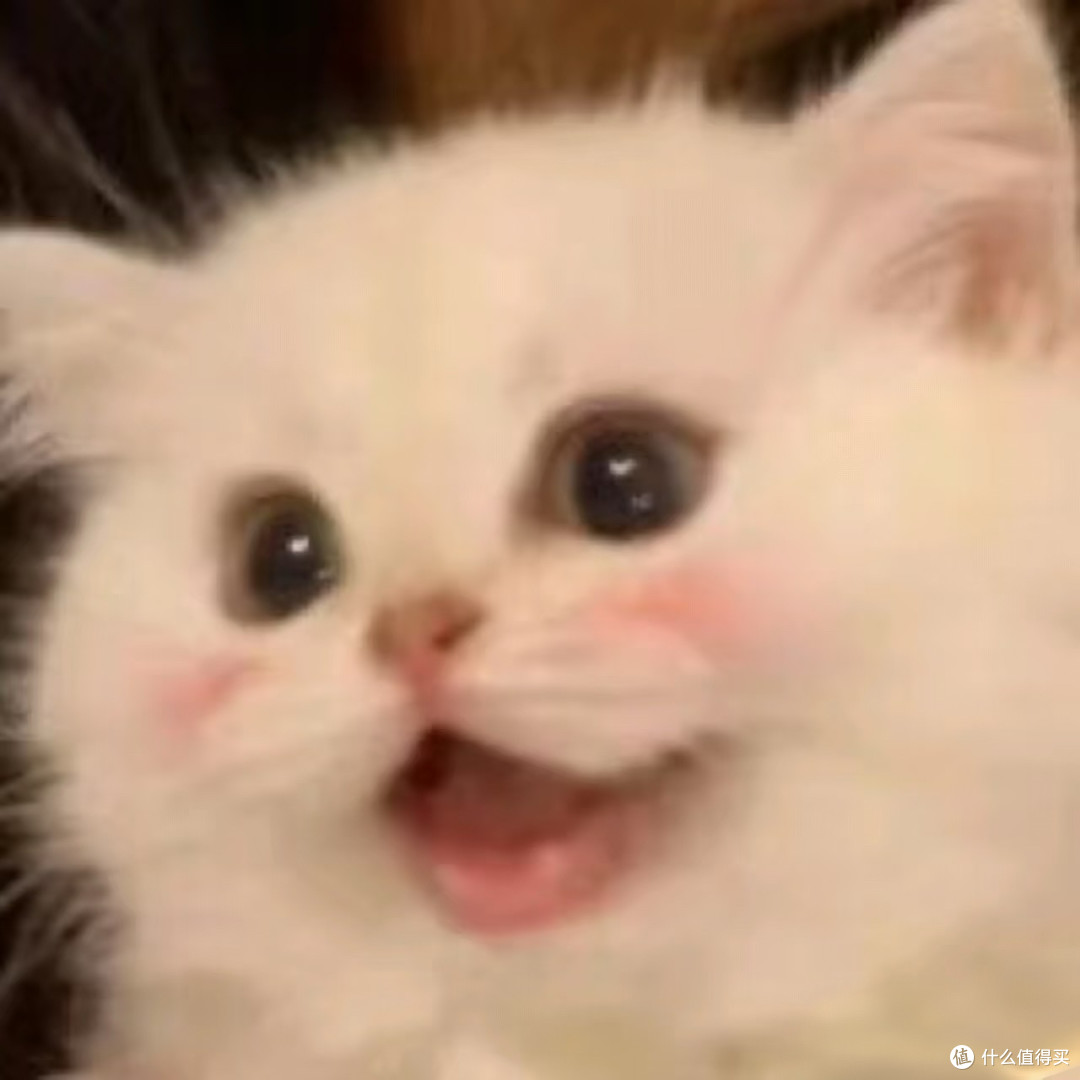 白猫颜值是猫界最丑？专家称：不存在！_猫咪_什么值得买