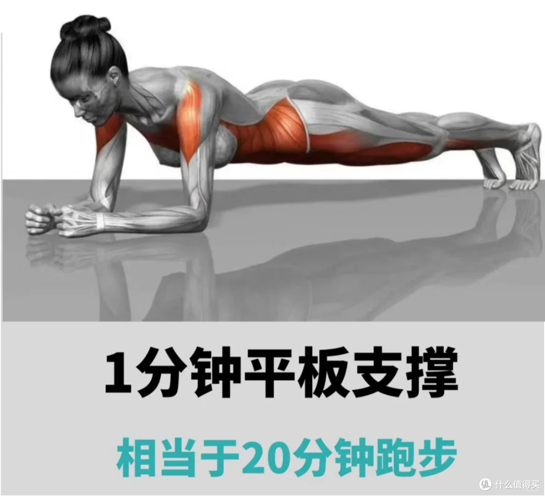 每天平板支撑2 分钟，坚持1 个月后身体会有什么变化？_体育项目_什么值得买